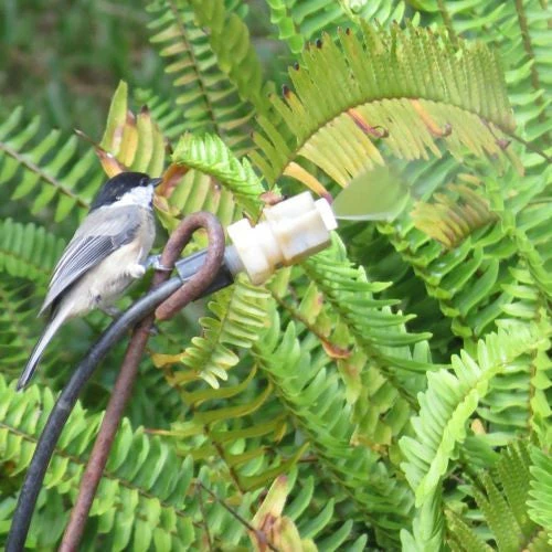 Birds Choice Leaf Mister For Butterflies, Hummingbirds & More 4 Birds Choice Leaf Mister For Butterflies, Hummingbirds & More