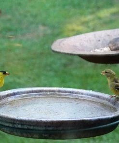 ACHLA-8/Erva-14 Clamp-On Deck Bracket For Bird Baths & Feeders Feeder Poles & Brackets