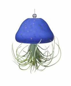 Kinsman Garden Company Jellyfish Air Plant Hangers Set/3