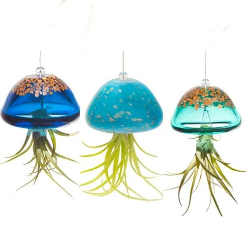 Kinsman Garden Company Jellyfish Air Plant Hangers Set/3 3 Kinsman Garden Company Jellyfish Air Plant Hangers Set/3
