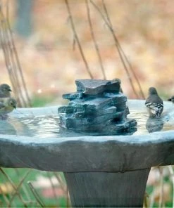 Birds Choice Layered Rock Waterfall