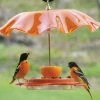 Birds Choice Acrylic Weather Guard-4 Colors