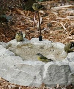 Birds Choice Deck & Ground Bird Baths Rocky Mountain Ground Bath With Dripper