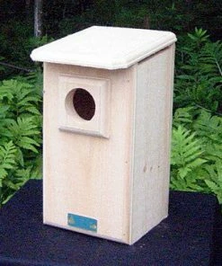 Coveside Saw-whet And Screech Owl House Owl Houses