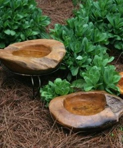 The Birdhouse Chick Natural Teak Ground Bird Bath Deck & Ground Bird Baths