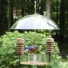 Birds Choice Super Dome Bird Feeder 2 Birds Choice Super Dome Bird Feeder