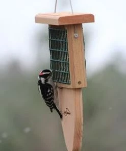 Kettle Moraine Tail Prop Suet Feeder Suet Feeders