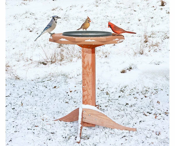 Songbird Essentials Heated Bird Baths & Heaters Replacement Pan For Heated Bird Bath 4 Songbird Essentials Heated Bird Baths & Heaters Replacement Pan For Heated Bird Bath