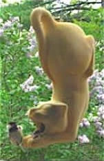 The Birdhouse Chick Cool Kat Stoneware Bird Feeder Unique Bird Feeders 4 The Birdhouse Chick Cool Kat Stoneware Bird Feeder Unique Bird Feeders