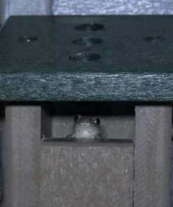 The Birdhouse Chick Tree Frog House