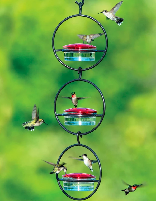Couronne Triple Orb Glass Hummingbird Feeder 3 Couronne Triple Orb Glass Hummingbird Feeder