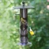 Perky Pet Upside-Down Finch Feeder 1 Perky Pet Upside-Down Finch Feeder
