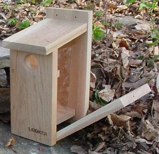 Songbird Essentials View Thru Bluebird House-NABS Approved 4 Songbird Essentials View Thru Bluebird House-NABS Approved