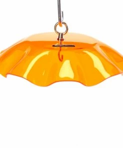 Birds Choice Acrylic Weather Guard-4 Colors