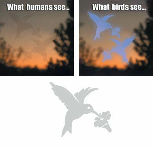 Shock Logistics Window Alert Decals- Prevent Bird Strikes 5 Shock Logistics Window Alert Decals- Prevent Bird Strikes