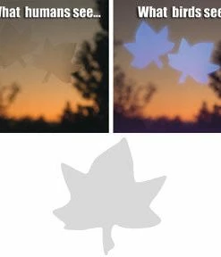 Shock Logistics Window Alert Decals- Prevent Bird Strikes 9 Shock Logistics Window Alert Decals- Prevent Bird Strikes