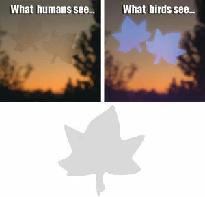 Shock Logistics Window Alert Decals- Prevent Bird Strikes 6 Shock Logistics Window Alert Decals- Prevent Bird Strikes